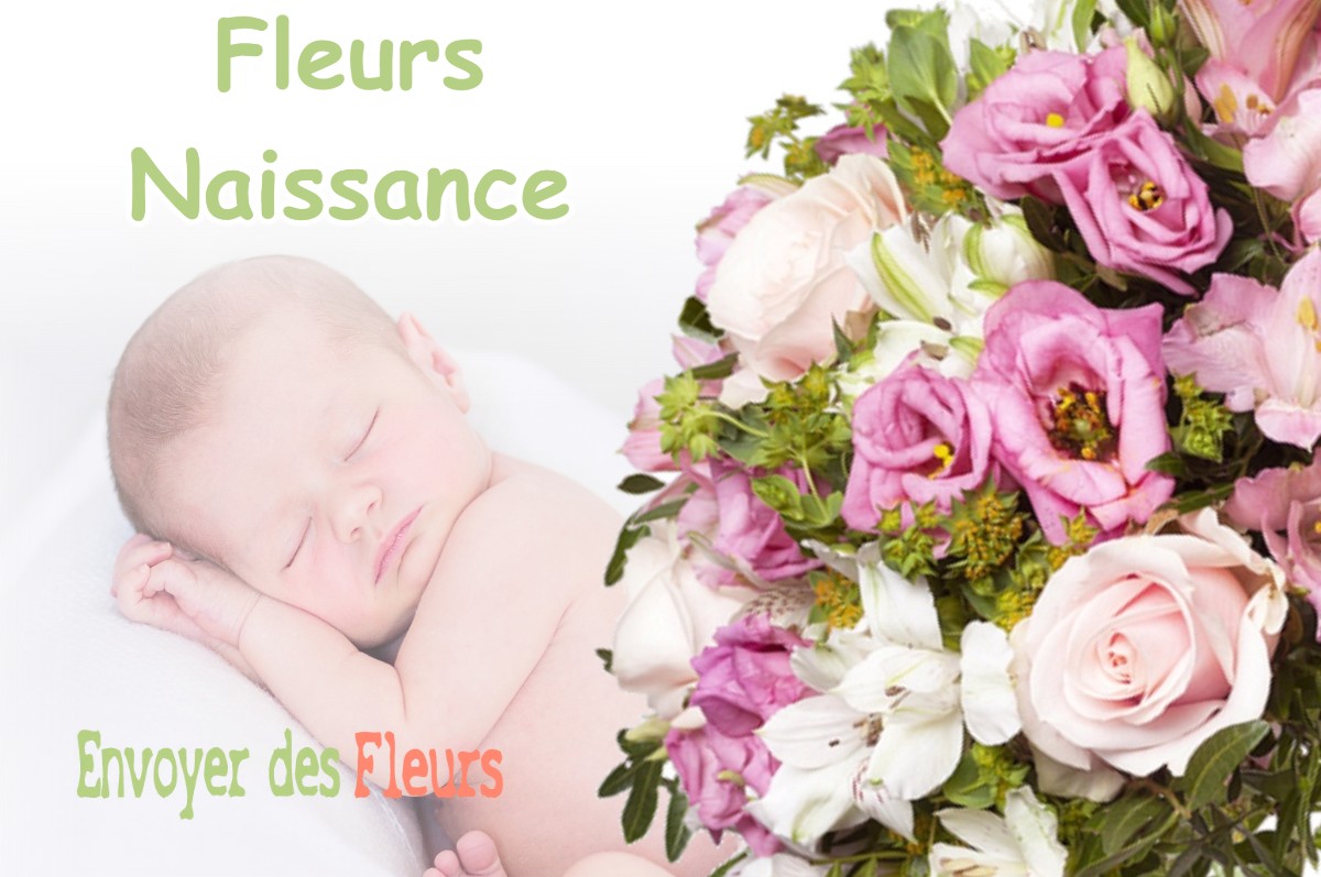 lIVRAISON FLEURS NAISSANCE à SAINT-GERMAIN-SUR-MEUSE